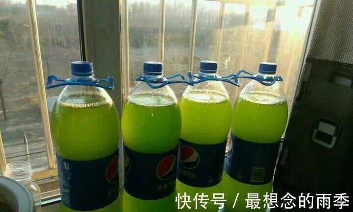 土壤|养花浇了“夺命水”，难怪烂根、黄叶，2种水“千万”别乱用