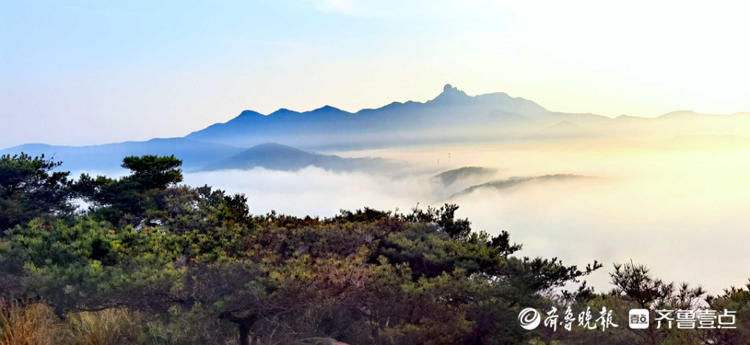 峰峦叠嶂，云海秀美！日照五莲观云海，如梦似幻美不胜收|情报站| 云海