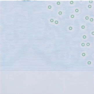 解读|2019年版第五套人民币长啥样?这里有一份解读