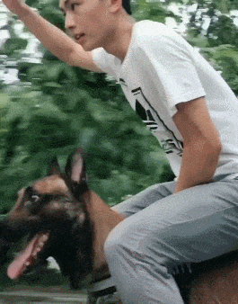 |搞笑GIF:姑娘 是时候找个男朋友了