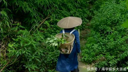 退休老药师“以筋治筋”的方子!一味药,治周身筋骨疼,请你品味