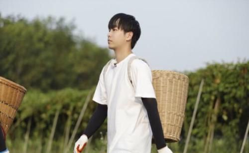 网曝张艺兴加盟《向往5》？与黄磊再续师徒缘，彭昱畅地位不保