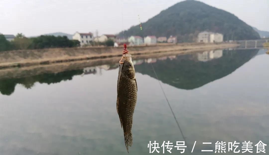 上几条鱼就停口?冬季野钓最大的难题,唯有这样解决才对路