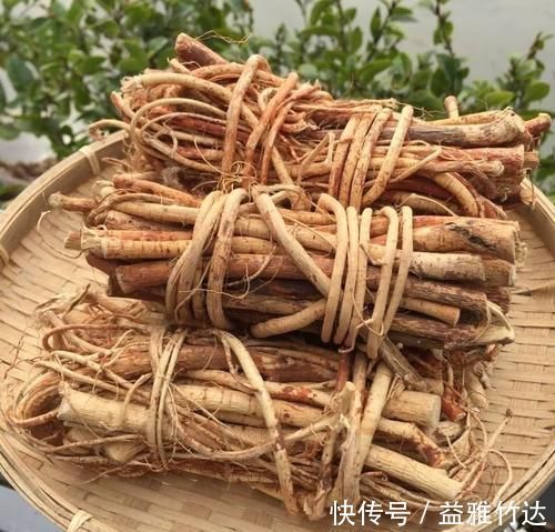 无花果|只知道果子味道甜好吃，却不知根茎才是好货，钙含量是牛奶7倍！