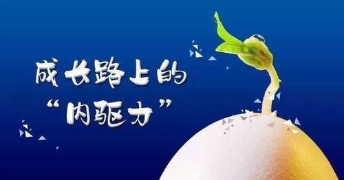 妈妈|“只要你考85分,我就带你去玩”最后差0.5分,家长处理方式亮了