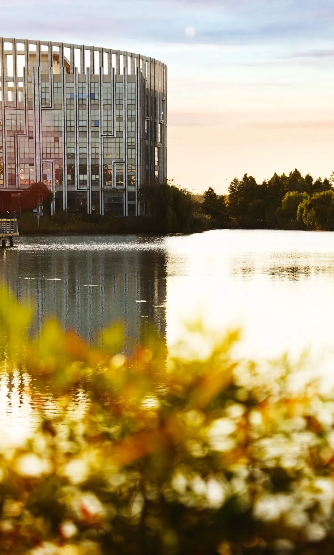 浙江水利水电学院|钱塘大学城秋景，美出圈！