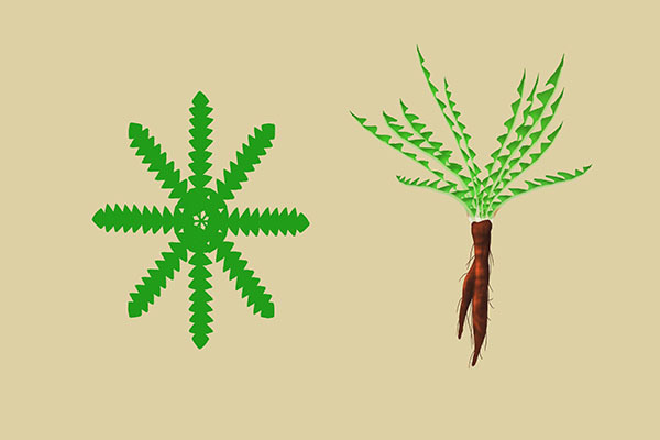 维生素d|月经彻底离开前，会提前打招呼，若发现变化，准备迎接绝经