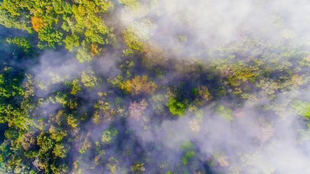 这才是七八月该去的地方国内最清凉的8个避暑胜地，20℃的夏天