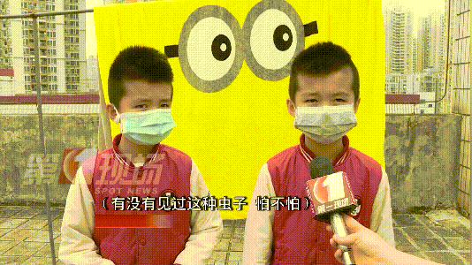 紧急提醒！近期尽量别穿这种颜色的衣服出门！