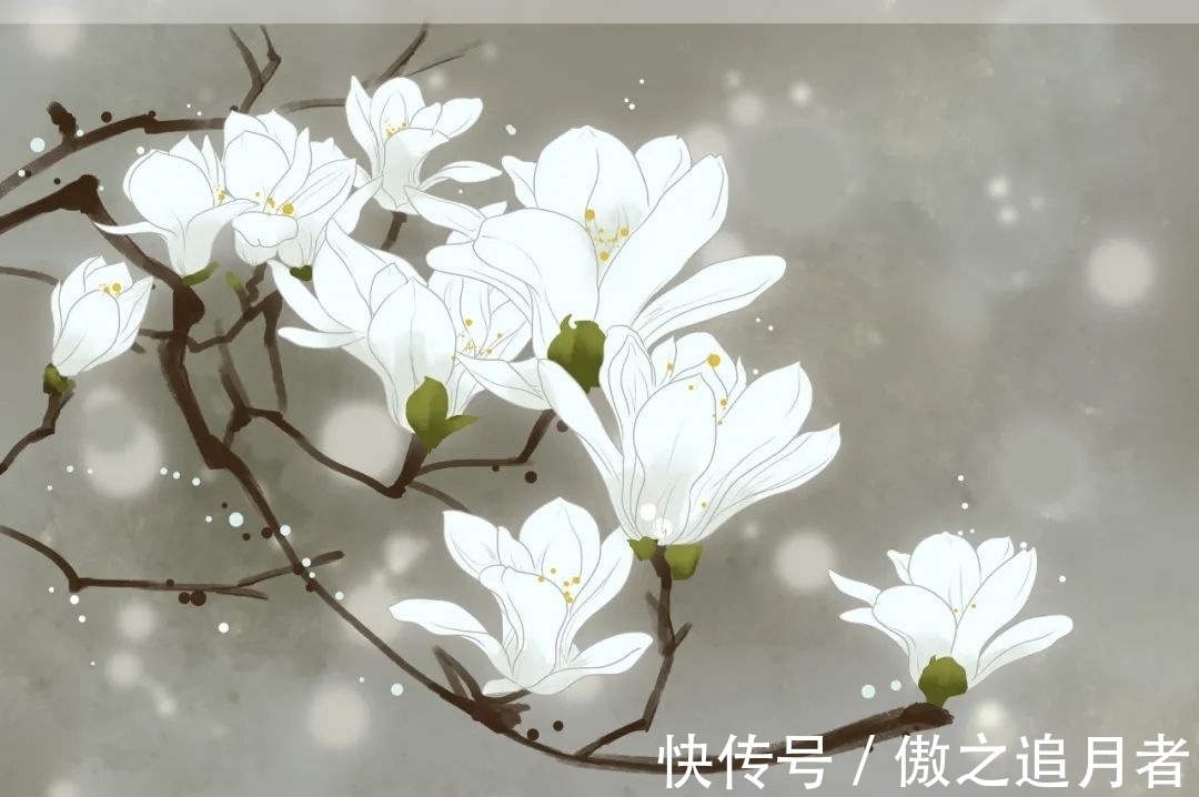 桂花!诗词丨8首时光诗词:欲买桂花同载酒,终不似,少年游