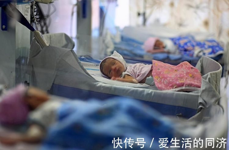 足月|胎儿也会“营养不良”?3种信号提醒孕妈,该“补一补”了