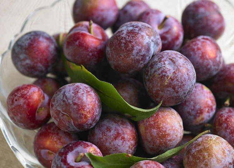 李子核仁|对身体最好的3种食物，坚持每天吃一些，补充营养、滋补身体！