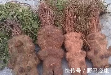 女人|月经量少的女人,晨起牢记喝2种水,有助于养子宫