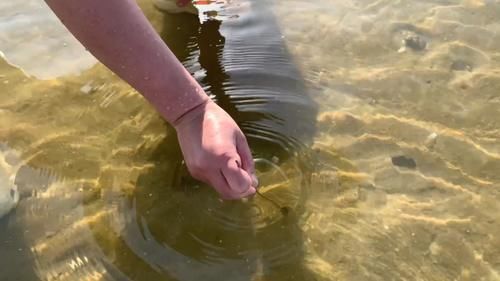 夏天,碰到此肉别手软,一次性囤30斤,放冰箱冻起来,特省事