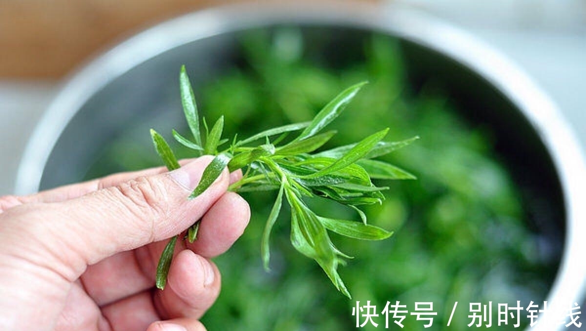 苦参|农村4种不起眼的野草，对“脚气”很有用，见到记得挖回家