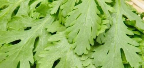 大夫提醒：女性若不想满脸皱纹，多吃此菜，可减肥美容，防止贫血