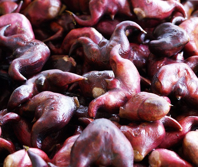 功效|这种农村水里长出来的植物,不仅能补脾益气,还有减肥的功效!