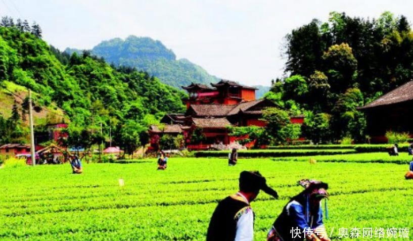 除了云南香格里拉，原来这里还有一个人间仙境，不输于风花雪月