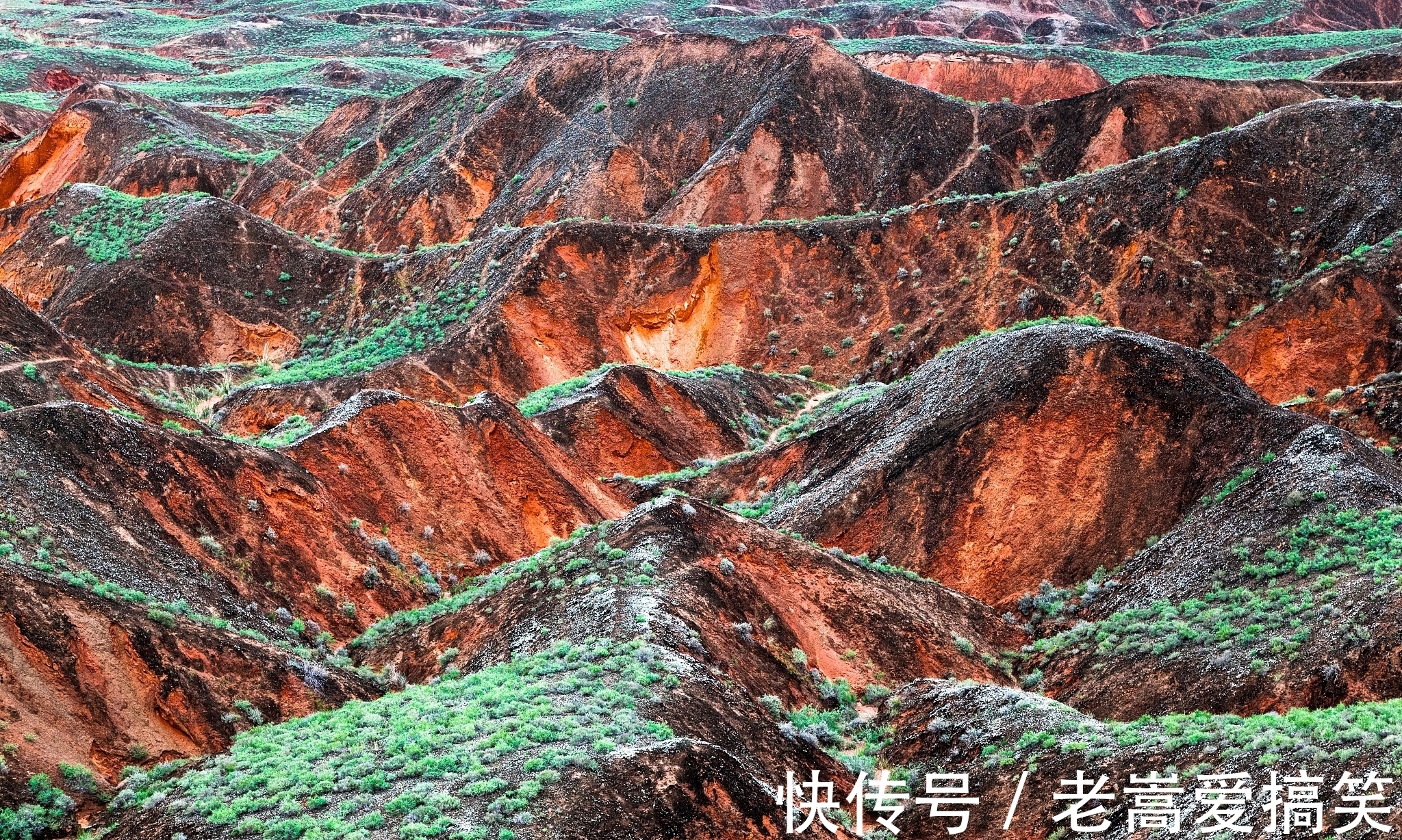 疫情|波及全国十省区，这次疫情中的游客，行程之中究竟看的什么风景？