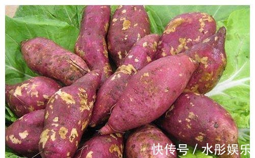 营养物质|想长寿要先会吃,3种食物离不开,补充营养,有益健康!