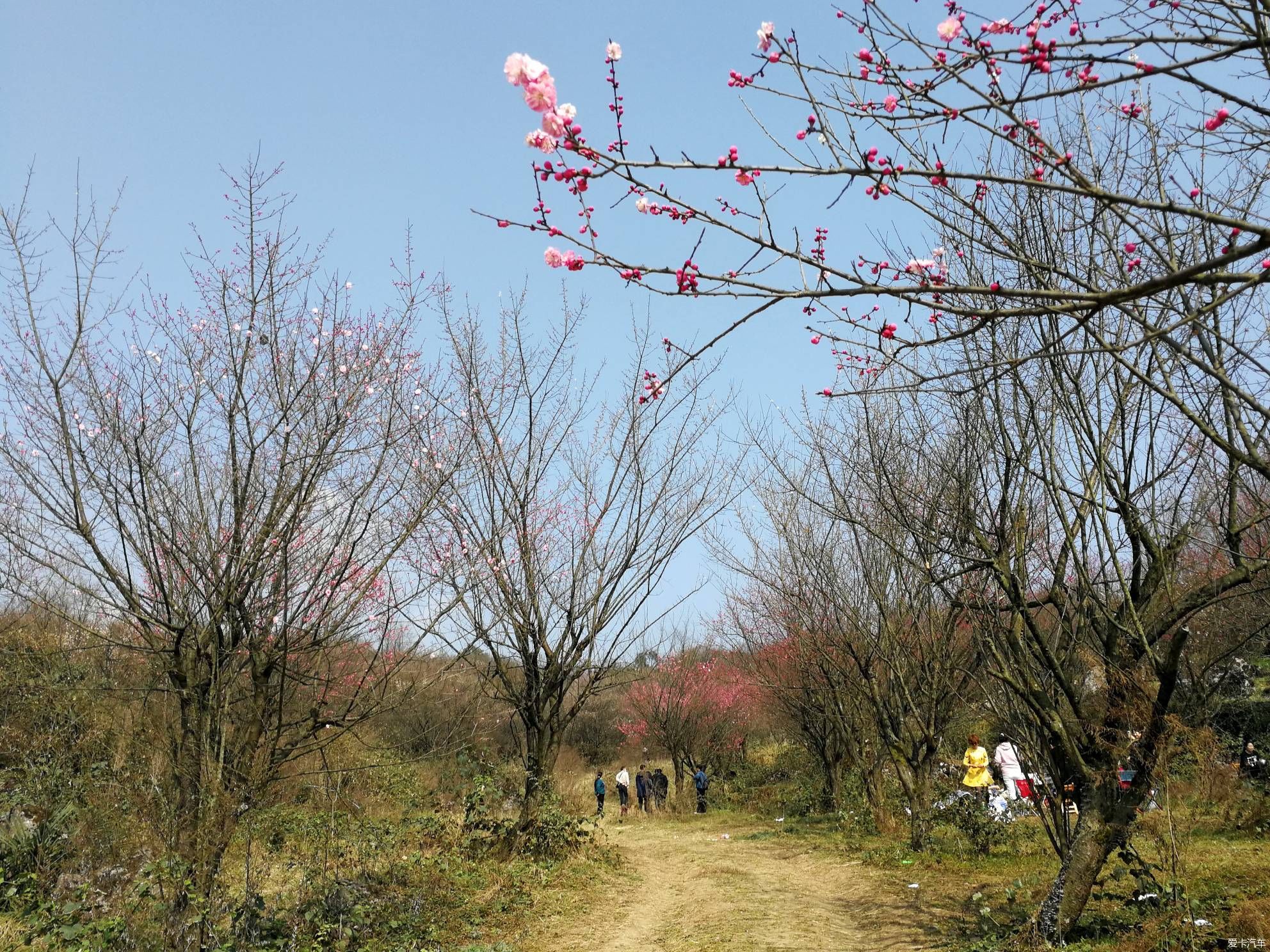 重游大坪山