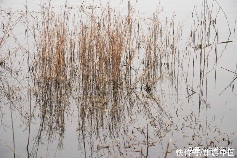 中原第一湖|“中原第一湖”南湾湖丰富民俗活动炒热景区旅游