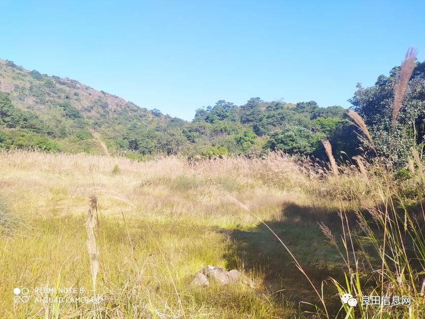 高峰|探寻揭西第一高峰附近的仙人塘古庵遗址