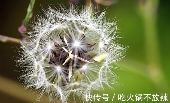 富贵|命里带着富贵的3大生肖，1辈子肯定有2次横财运，3次桃花运