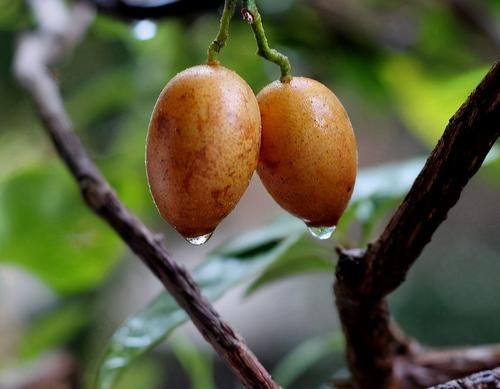 女性到了中年，常吃3種食物，刮油消脂，排毒潤(rùn)腸，清理體內(nèi)毒素