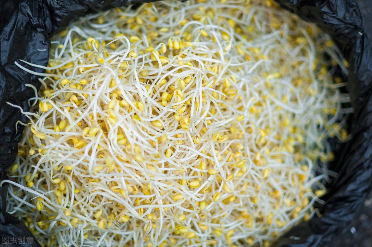 国家|不愧是“豆芽大王”牛人发明酵素豆芽机,成功销往30多个国家