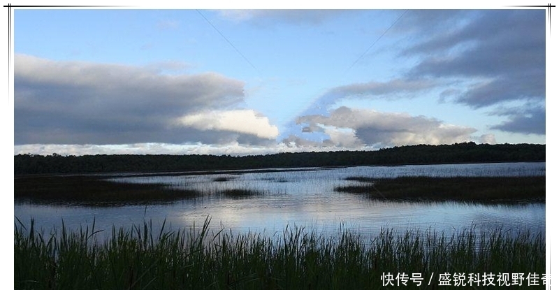 春末夏初巧寻板鲫：学会变通，找对方法