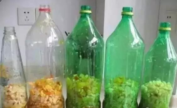 小苏打养花的3大好处,改良土壤、除臭、延长花期,你全懂吗