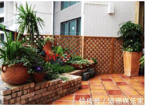 盆栽|老公阳台养盆栽,一家人看着乐开花,楼下邻居却天天找麻烦