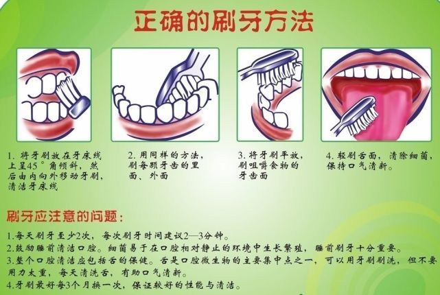 月龄|不同月龄宝宝的正确刷牙方法