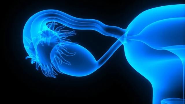 雌激素|没想到熬夜、节食的副作用,居然还有卵巢早衰……