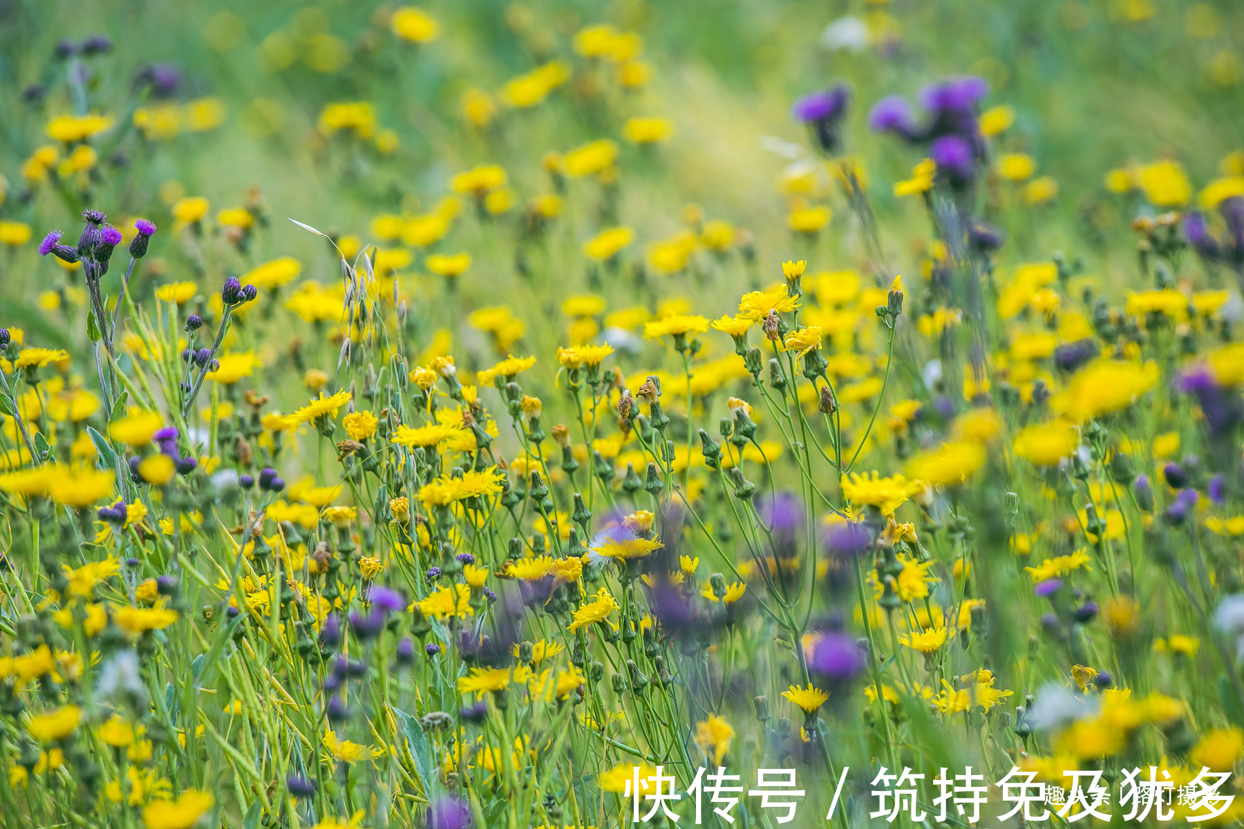 山洞|青海门源这条瀑布很神奇，从悬崖山洞流出，峭壁上达摩像若影若现