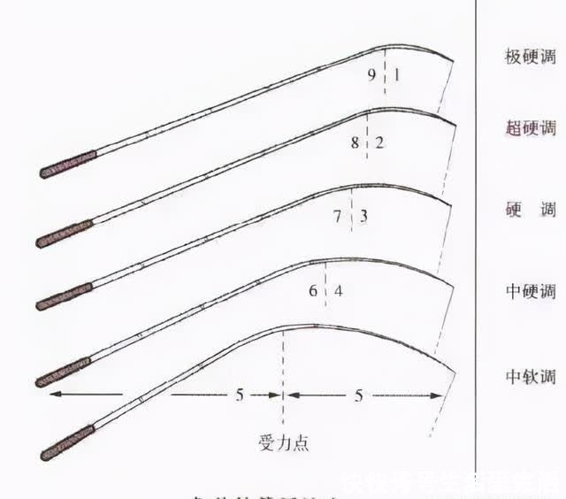 钓鱼|初学者台钓装备二：钓竿的调性与手法的重要性