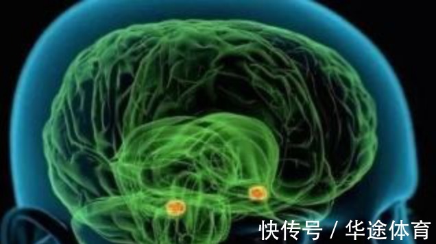 反式脂肪酸|脑梗的根源被发现,肥肉排最后,看完名单,赶紧忌口,忍住就赢了