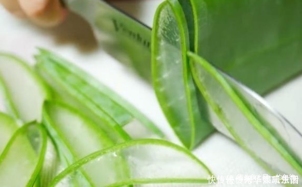 仙人球|卧室里植物别乱养,这3种在夜晚能够释放氧气,真是睡觉必备