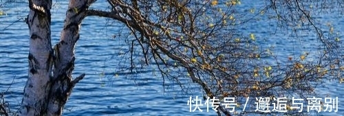 浅秋|如梦如凉弄清秋