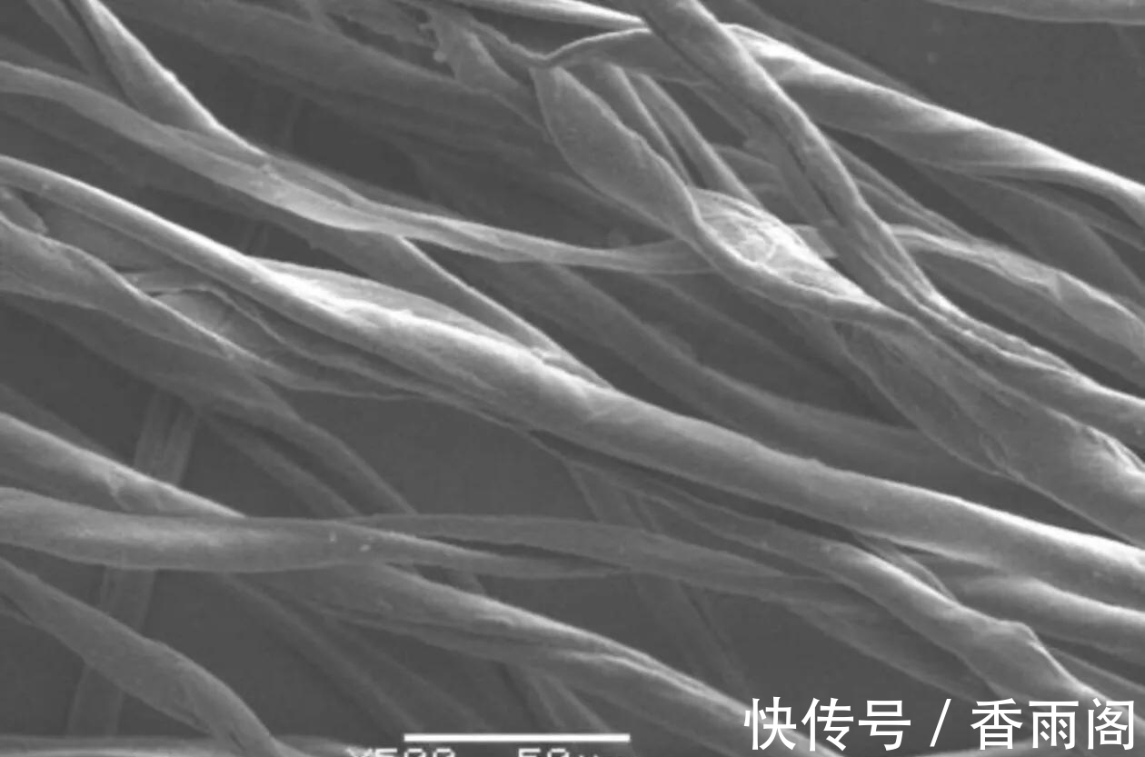 刚打扫完室内卫生，就又出现了尘絮，这些灰尘是怎么凭空出现的？
