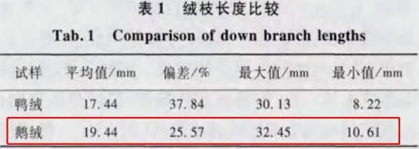 鸭绒|羽绒服有鸭绒、鹅绒，为什么没有鸡绒？