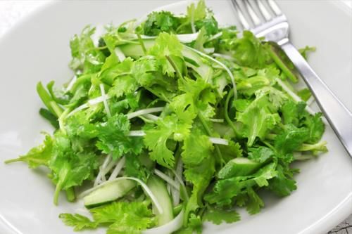 袋子|香菜放进袋子里,保存一年没问题,颜色翠绿不发黄,新鲜不变味