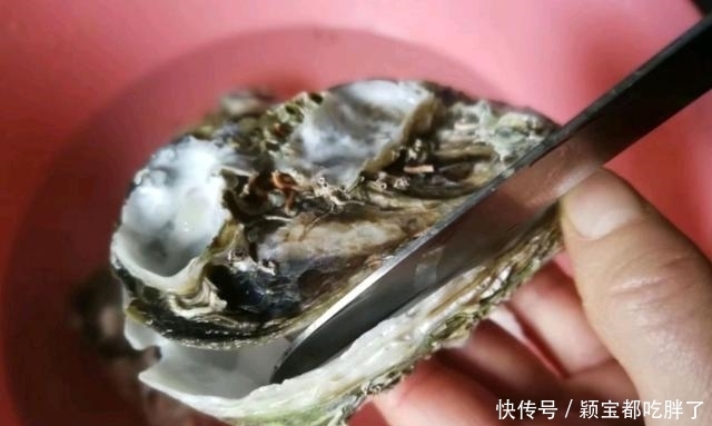 粉丝|蒜蓉粉丝蒸生蚝,只要跟着步骤一点点做,蒸出来的比饭店还香