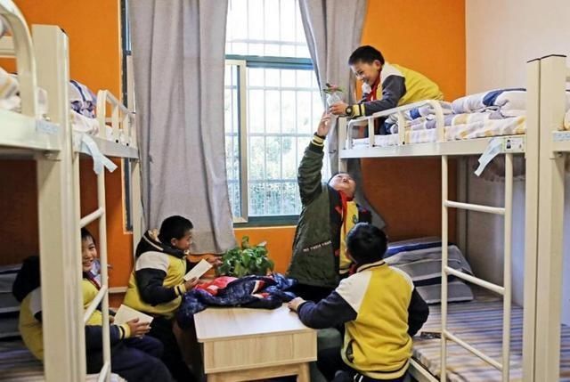 心理健康|白岩松：再苦也不会让我的孩子住校！寄宿对娃的危害不是一般的大