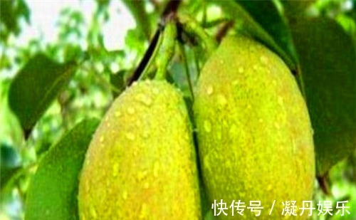 香梨|人到中年想长寿,不妨多吃4种食物,促进血液循环,增强抵抗力