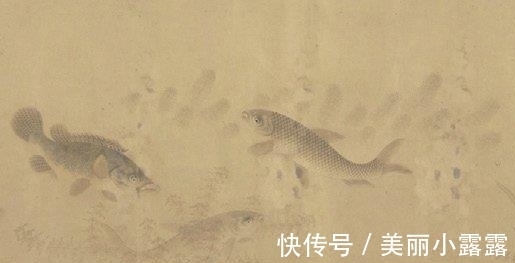 刘寀#东方画谱为何选清晰度不够的《落花游鱼图》入册?