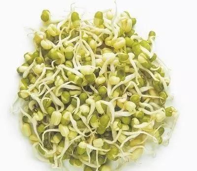 翻倍|4种蔬菜发芽后,不仅没毒,营养还翻倍,可以放心吃