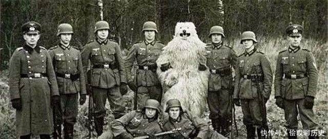 简单|二战前期摧枯拉朽的德军，为何后来被苏联按在地上打？原因很简单！