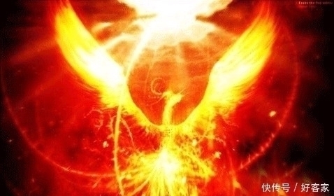 重明鸟&中国十大上古神兽,龙不在其中,你认识几个